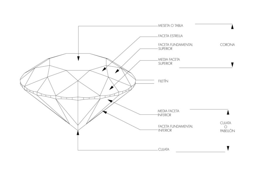 ANATOMIA DE UN BRILLANTE